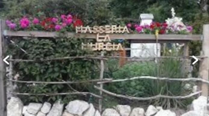 Wildcamp Resort Masseria La Murgia Unterkunft In Einem Wohnwagen Rimbach  Exterior photo